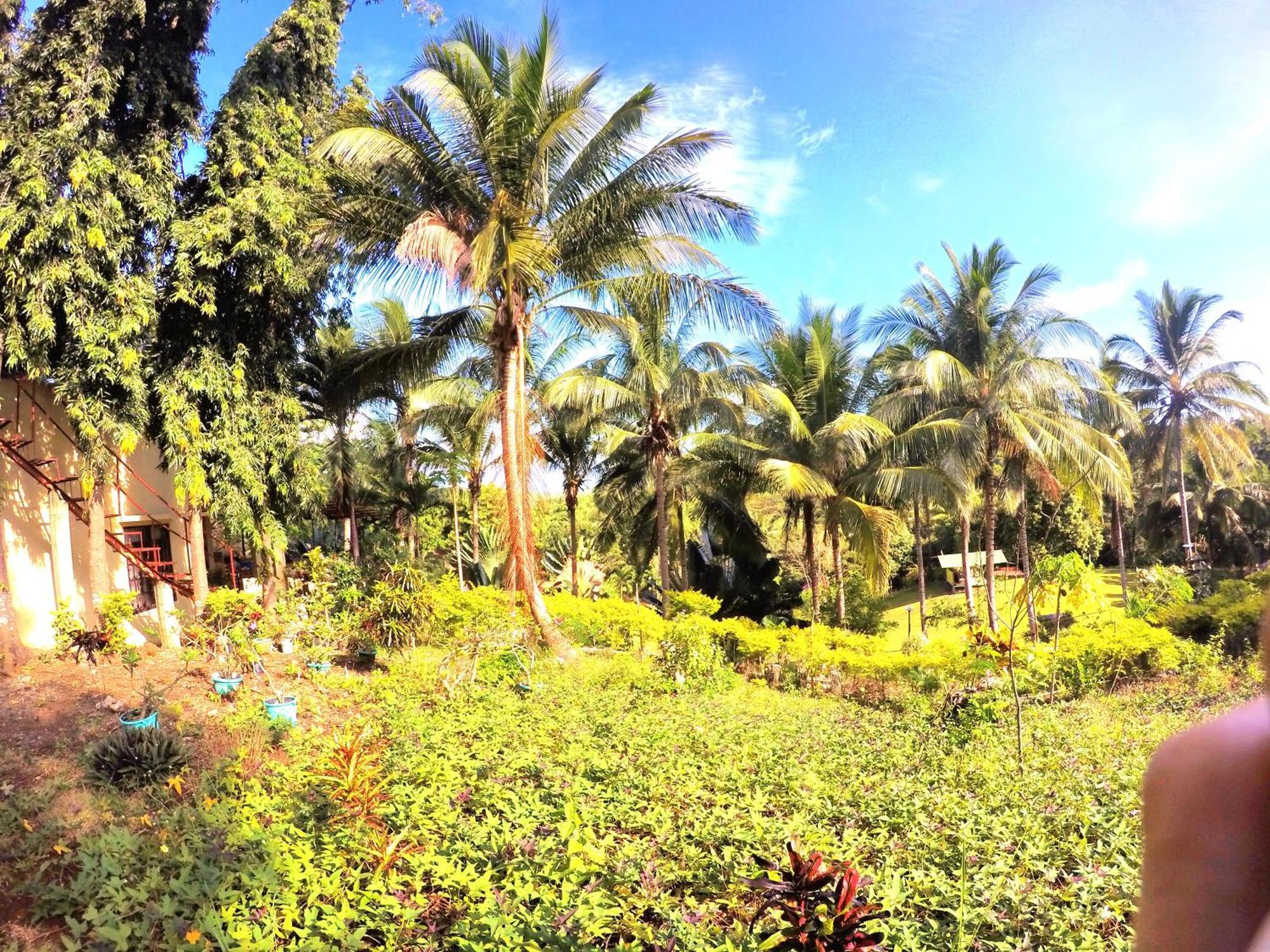 Al Hamra Jungle Resort (Adults Only) Puerto Princesa Exterior foto