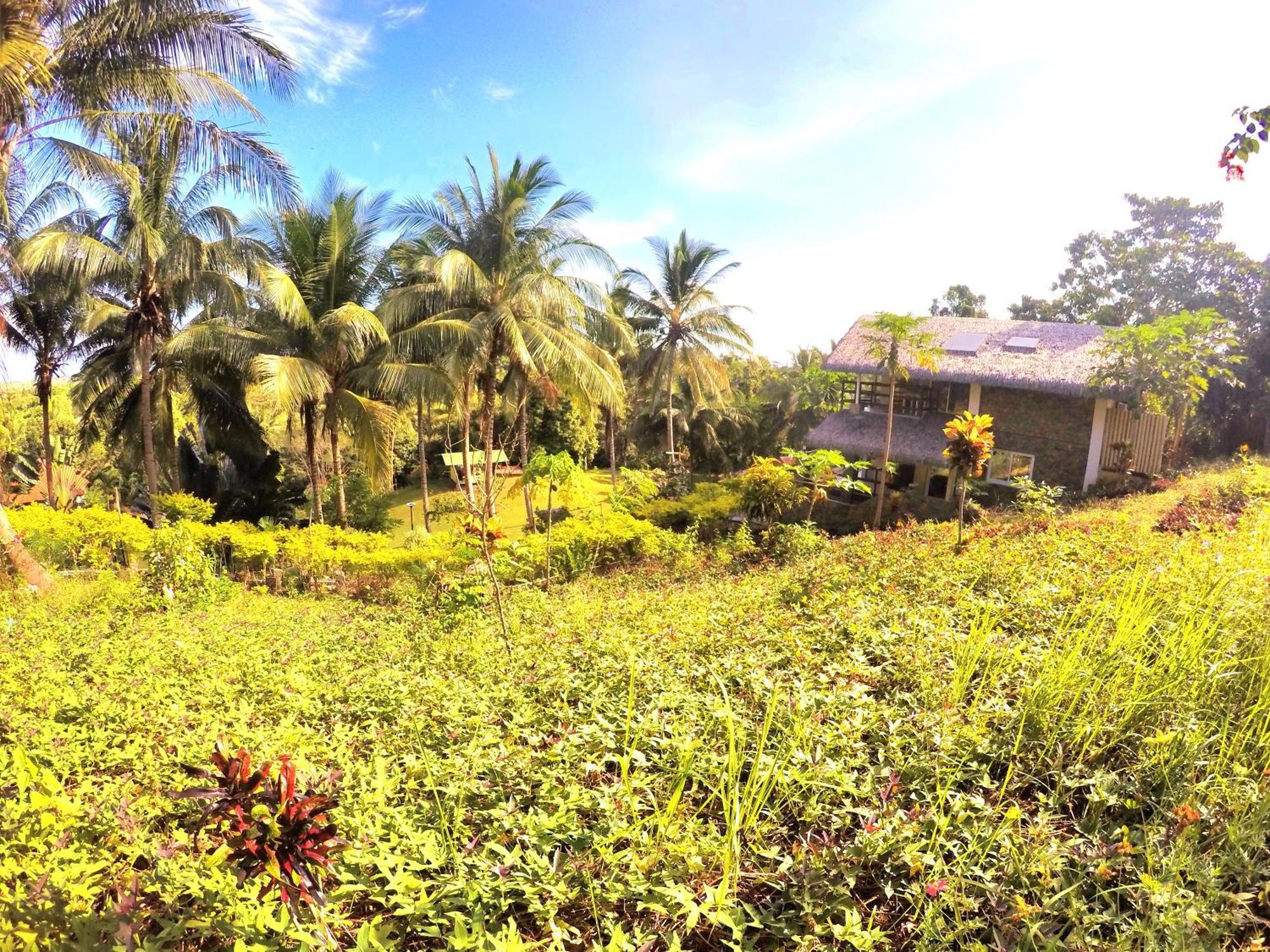 Al Hamra Jungle Resort (Adults Only) Puerto Princesa Exterior foto